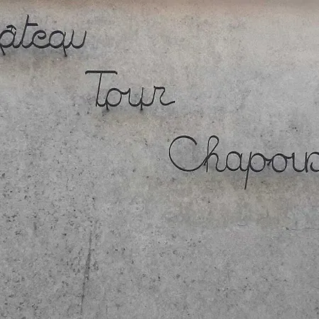 Prázdninový dům Chateau Tour Chapoux - Piscine Privee *